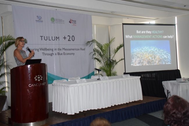 DSC_0003_reduc DSC_0003_reduc