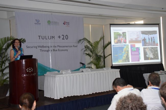 DSC_0029_reduc DSC_0029_reduc