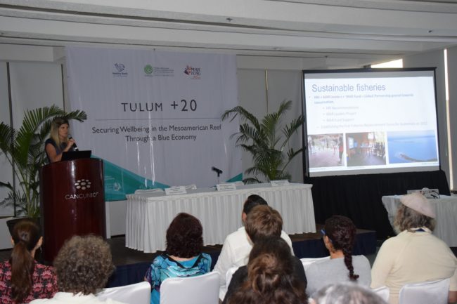 DSC_0051_reduc DSC_0051_reduc