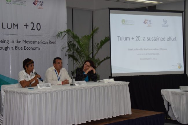 DSC_0076_reduc DSC_0076_reduc