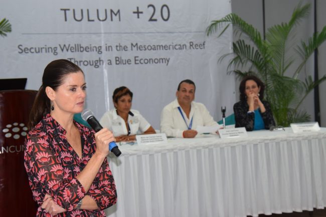 DSC_0082_reduc DSC_0082_reduc