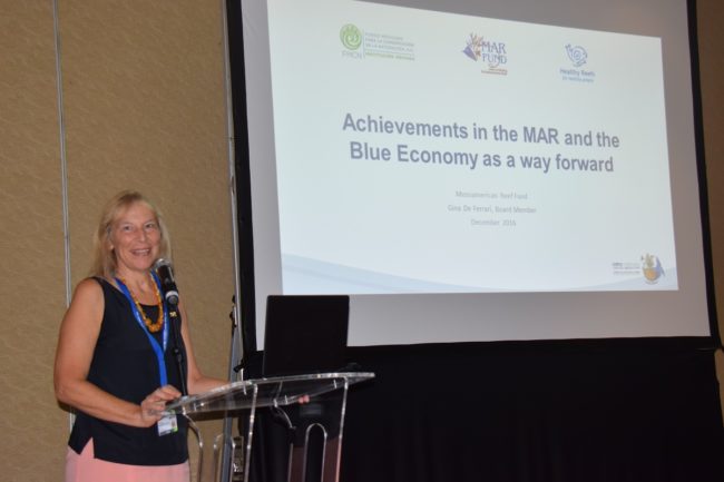 DSC_0136_reduc DSC_0136_reduc