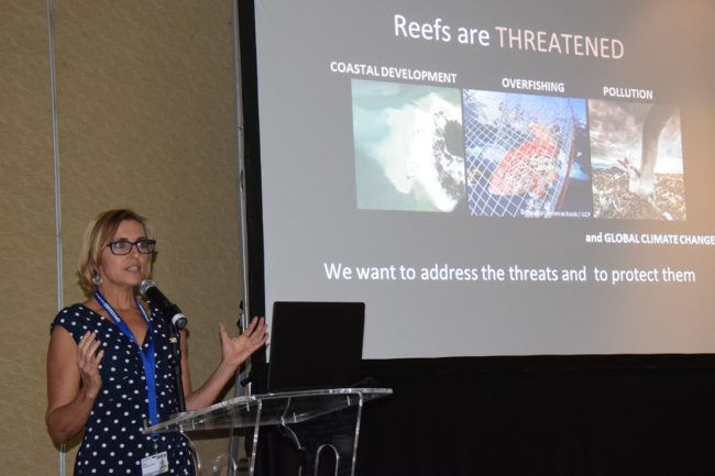 DSC_0141_reduc DSC_0141_reduc