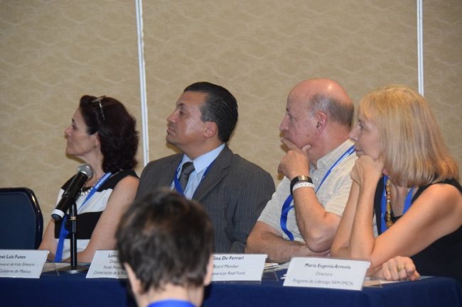 DSC_0146_reduc DSC_0146_reduc