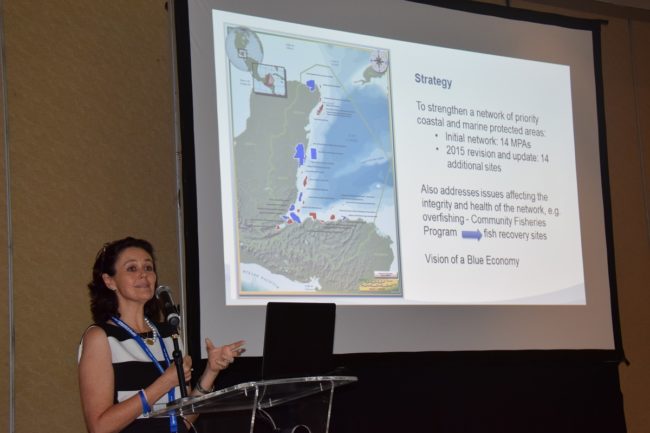 DSC_0159_reduc DSC_0159_reduc