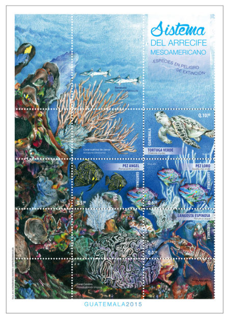 hojita-final-arrecife