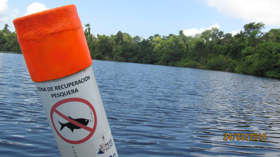 victories-guatemala-fish-recovery-site-02