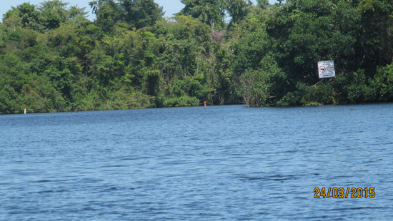 victories-guatemala-fish-recovery-site-06