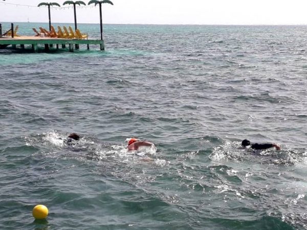 Brigadas-Respuesta-Post-Tormenta-009 Brigadas-Respuesta-Post-Tormenta-009