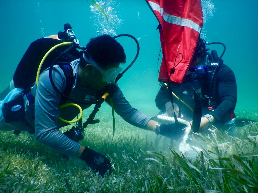 how to use the hoist bag - Juan Carlos Huitron