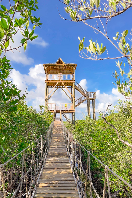 nota-Calabash-Caye-Observatory-Tower-credit-TASA