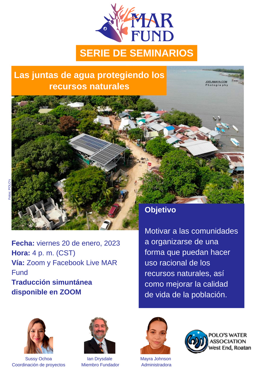 Afiche-webinar_Polos