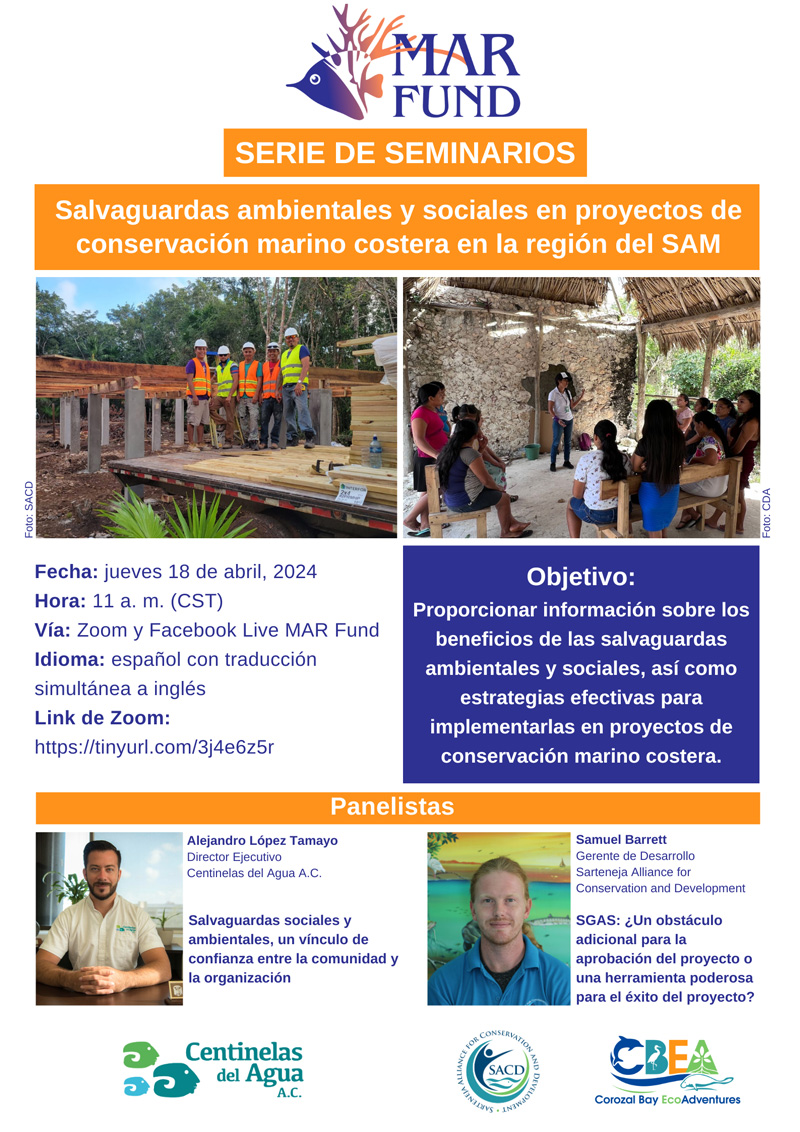 Seminario-en-linea-Salvaguardas-hd