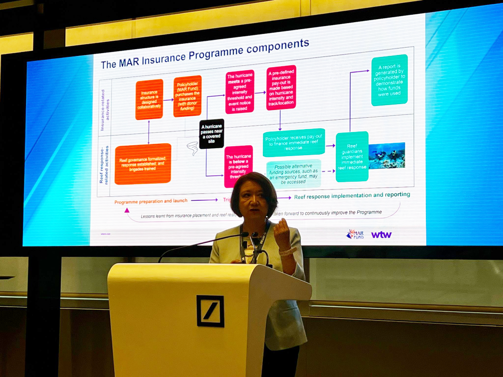 presentacion-seguro-parametrico
