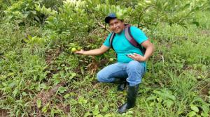 frutos-limon-tecnico-fundaeco