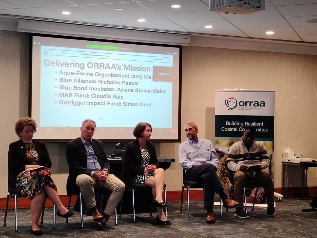 panel-orraa-ny