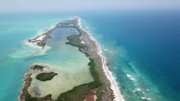 2b.-Parque-Nacional-Isla-Contoy_Alexis-Garcia-Rivero