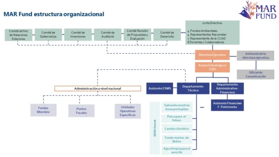Estructura-Organizacional-2024-ESPANOL