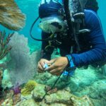 IMG-20240817-WA0082